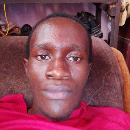 Stephen  M. profile photo