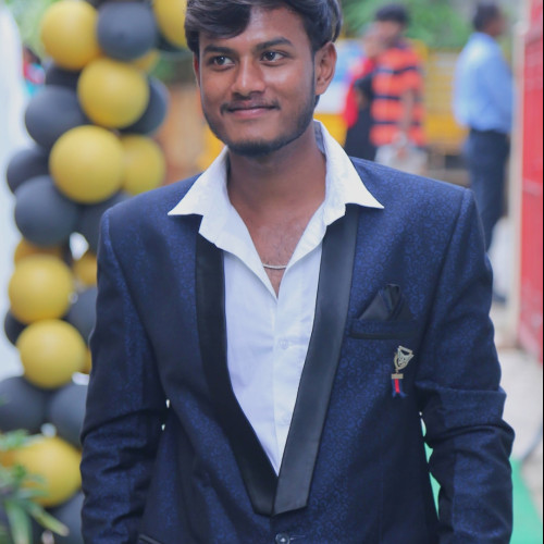 Kaushik  N. profile photo