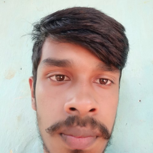 Lashen M.