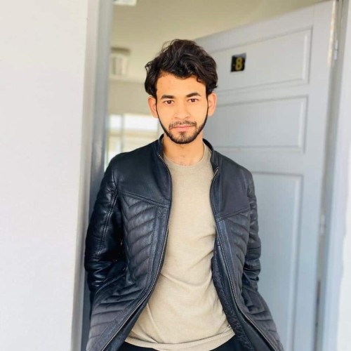 Messaoudi M.