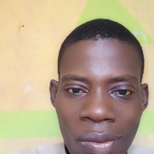 Olugbenga B. profile photo