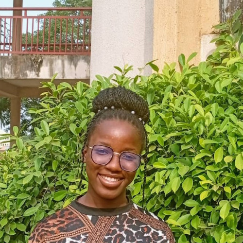 Ogechukwu N.
