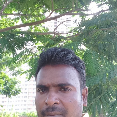 Bapi M.