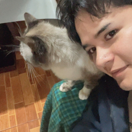 Daniel E. profile photo