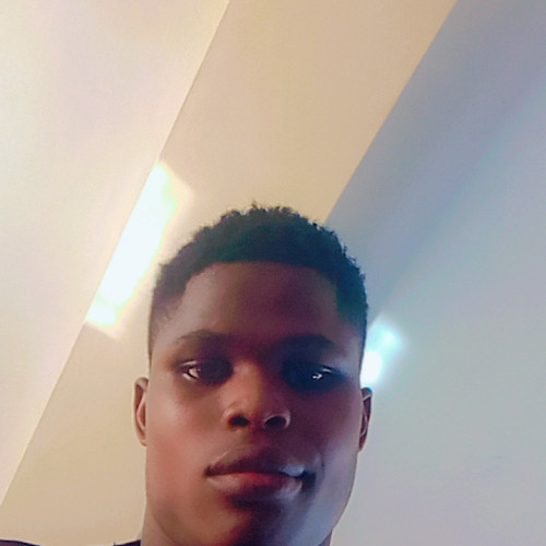 Nelson  S. profile photo