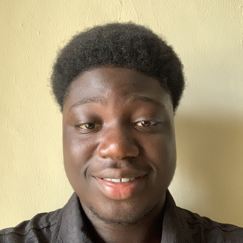 Abobade O. profile photo