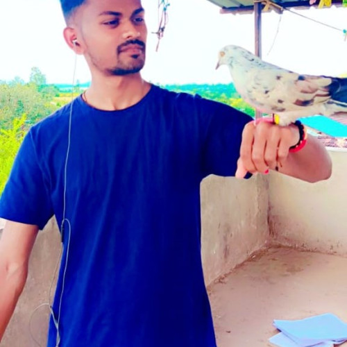 Amol D. profile photo