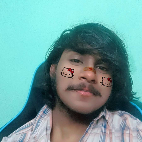 Mahendra V. profile photo