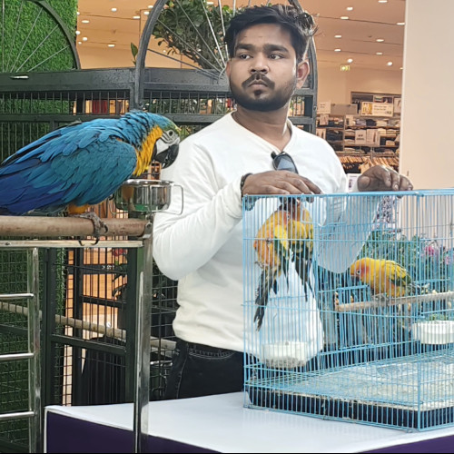 Sahil S. profile photo