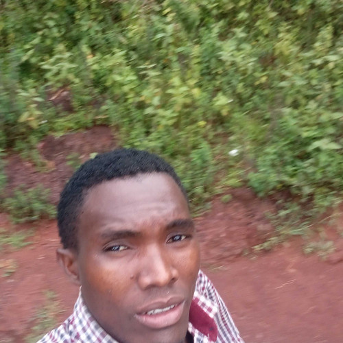 Raphael A. profile photo