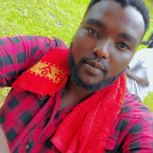 Anthony N. profile photo