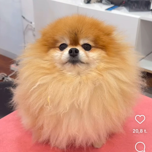 Jussi R. profile photo