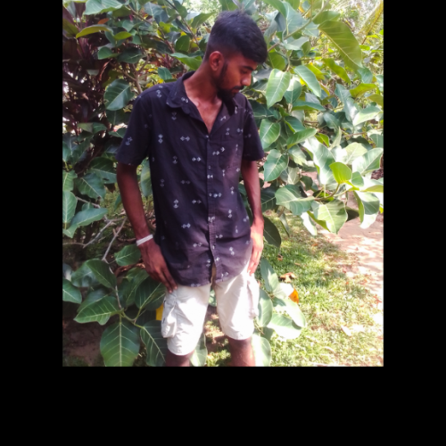 Sahan D.