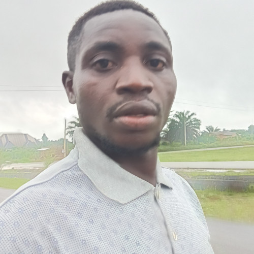 Ogunyemi  I.