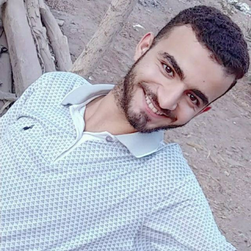 Ahmed Mostafa  A. profile photo