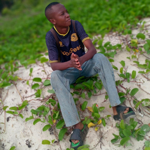 TOTOOH  T. profile photo