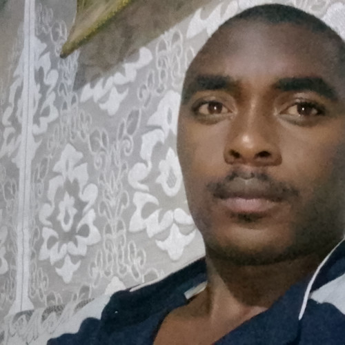 Moris O. profile photo