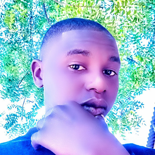 Abdullahi L. profile photo