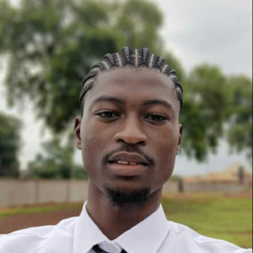 Emmanuel o. profile photo