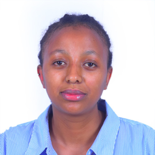 Rediet M. profile photo