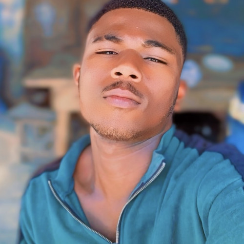 Vincent  S. profile photo