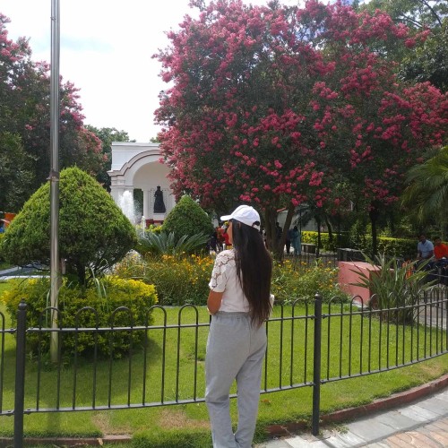 Wisa T.