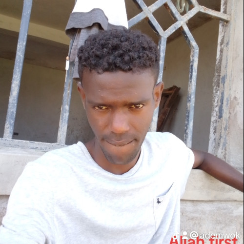 Ali I. profile photo