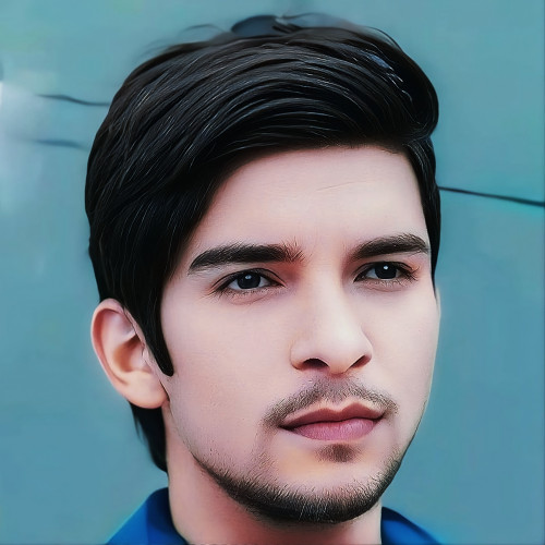 Naveen A. profile photo