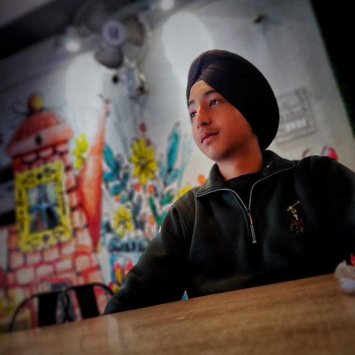 karamveer s. profile photo