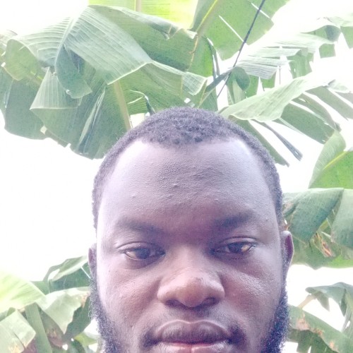 Abdul  F.