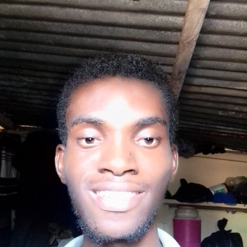 Travis N. profile photo