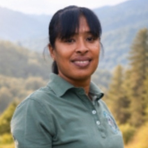 Destemonia H. profile photo