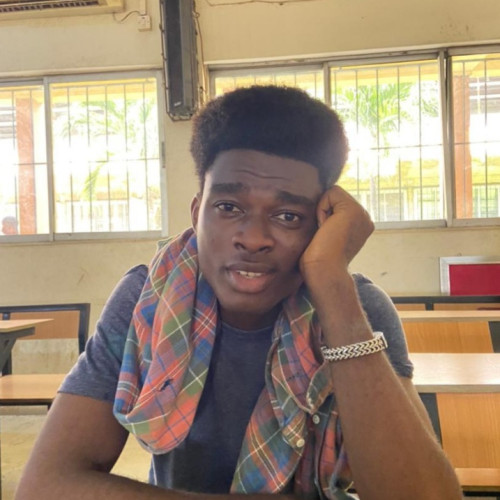 Nmesoma  E. profile photo