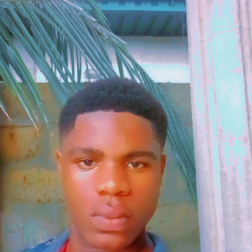 Chigozie  D. profile photo