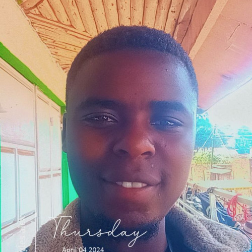 Alex  M. profile photo