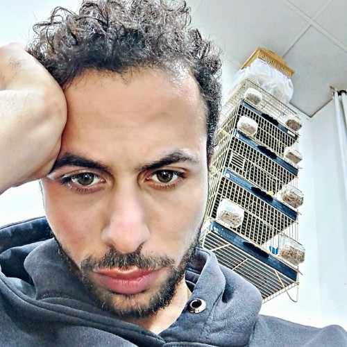 Ahmed M. profile photo