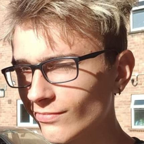 Dominykas N. profile photo