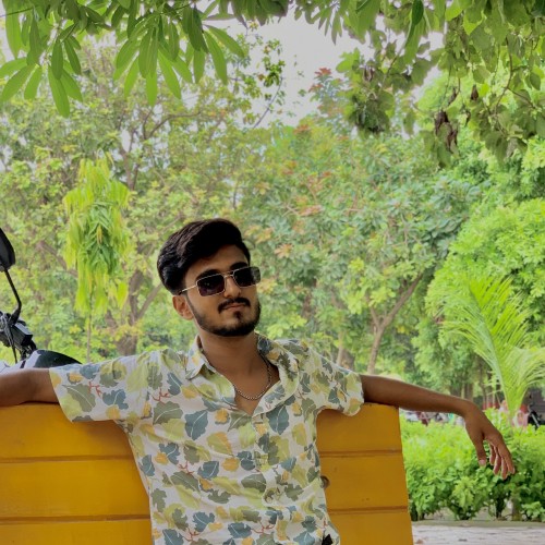 Aditya S.