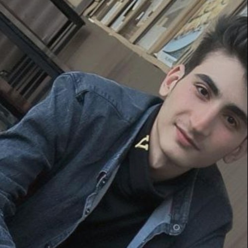 mohammad e.