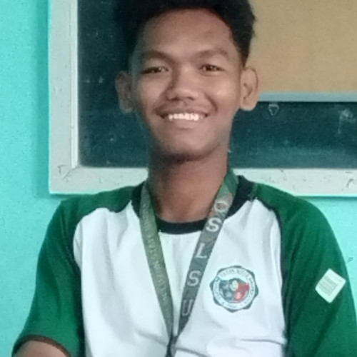 Ronie B. profile photo