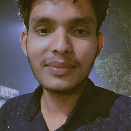 Viransh  S. profile photo