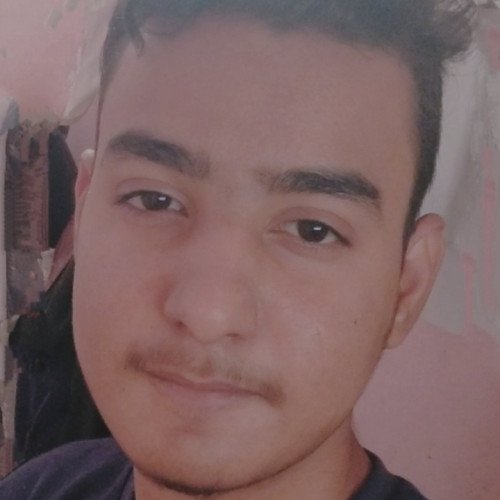 Mohammad K. profile photo