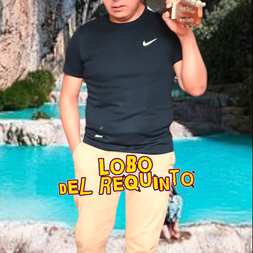 Vicente D. profile photo