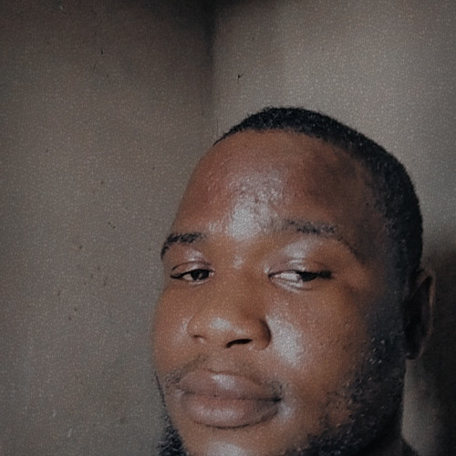 Olamide R. profile photo