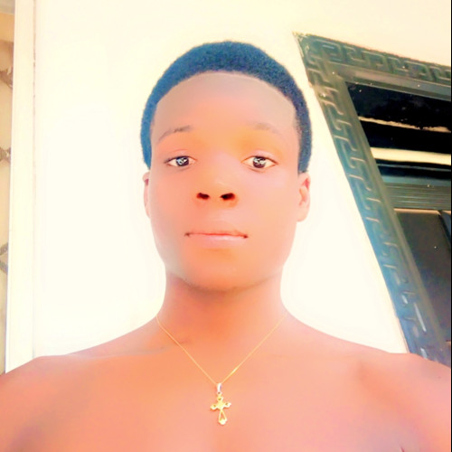 Vincent  P. profile photo