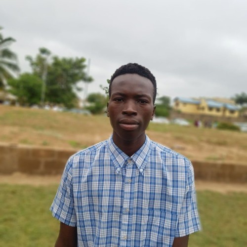 Oguntade E.