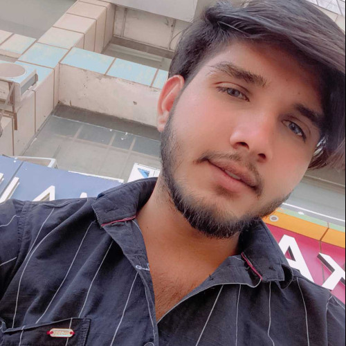 avhi t. profile photo