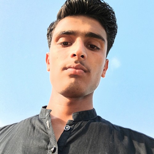 Ali S.