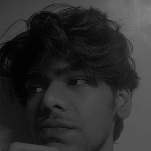 Hamza S.