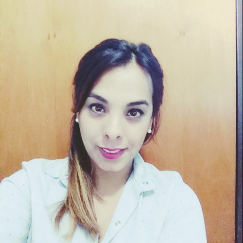 STEFI r.